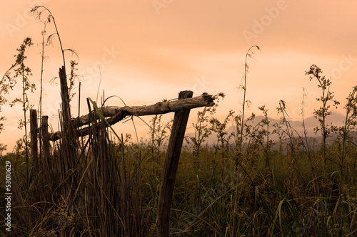 Photo: AOSI AL TRAMONTO AOSI AL TRAMONTO