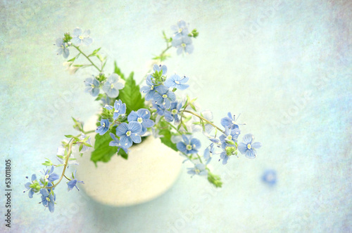 Photo: Flowers Background Flowers Background