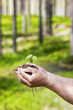 Foto: Naturschutz Naturschutz