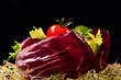 gemischter Salat in Radicchio auf Sprossen
