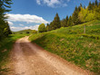 CHEMIN DE MONTAGNE
