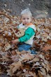 Kleinkind spielt mit Herbstlaub