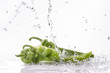 peperoncini verdi dolci splash