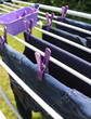 jeans on a clothes-line