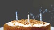 Birthday candles being extinguished