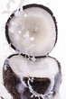noce di cocco splash