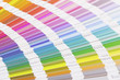 Open color guide