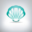 Scallop seashell. Vector.