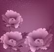 Vektor: vector holiday background with peony flowers vector holiday background with peony flowers