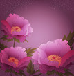 Vektor: vector holiday background with peony flowers vector holiday background with peony flowers