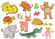 animals