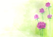 Vector: vector watercolor floral background vector watercolor floral background