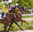 Horse racing at the hippodrome in Pyatigorsk.