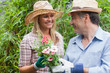Photo: Man and woman holding a flower pot Man and woman holding a flower pot