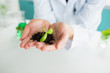 Woman holding soil and plants