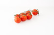 pomodori pachino