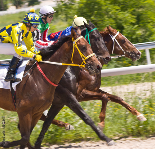 Photo: Horse racing at the hippodrome in Pyatigorsk. Horse racing at the hippodrome in Pyatigorsk.