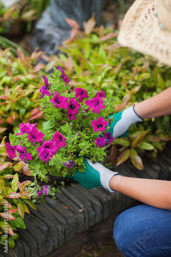 Photo: A woman is working in the garden A woman is working in the garden