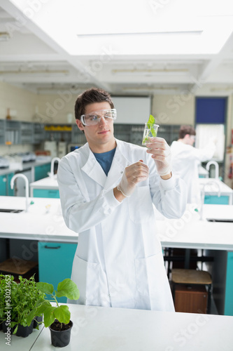 Photo: Student holding up beaker with seedling in it Student holding up beaker with seedling in it