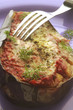 Berinjela 가지 Melanzana Berenjena Aubergine