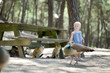Adorable toddler girl feeding peacocks