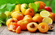 Ripe loquats and fruits on table