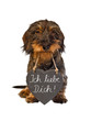 Dackel mit Schieferherz, Ich liebe Dich!