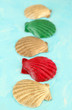 Photo: Colorful seashells on color wooden background Colorful seashells on color wooden background