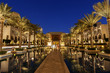 209- palm trees dubai