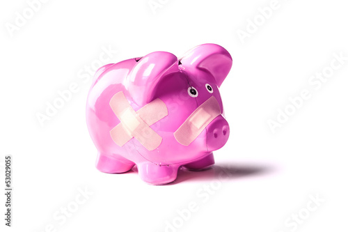 Photo: pig pig