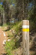 Hiking orientation