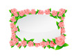 pink flowers frame illustration designs