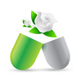 natural pills illustration design