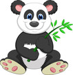 Giant Panda eating bamboo