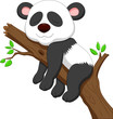 Sleeping panda