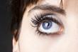 Eye