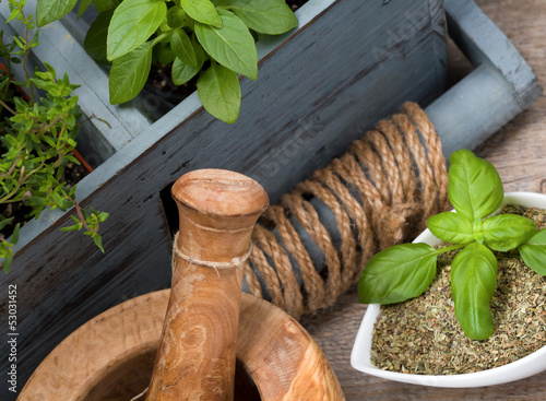 Photo: Fresh and Dried Herbs Fresh and Dried Herbs