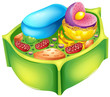 Plant cell