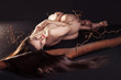 Naked girl in damp