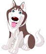 Vektor: Cute husky Cute husky