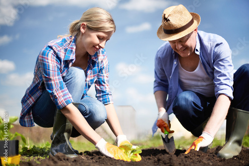 Photo: Seedling plants Seedling plants