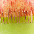 Sliced apple halves