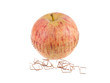 Sliced apple halves