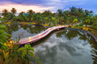 Palm trees reflected in pond at sunset, Thailand