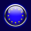 Vektor: icon European Union. EU flag button icon European Union. EU flag button