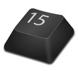 Computer Key - 15