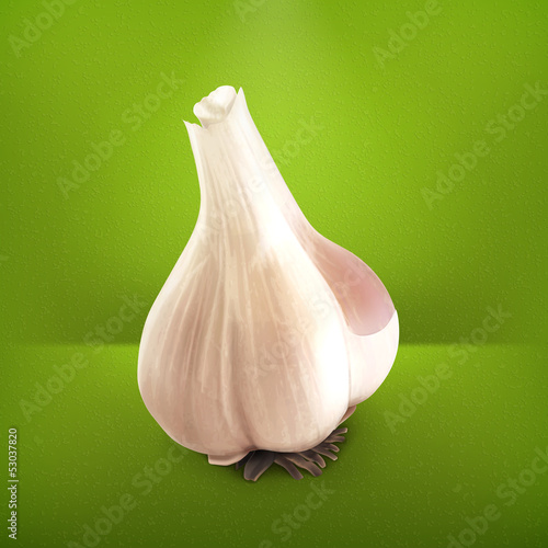 Vector: Garlic Garlic
