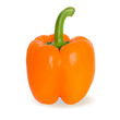 Realistic vector illustration of orange pepper or paprika