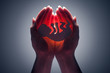 Photo: embryo embryo