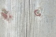 altes holz